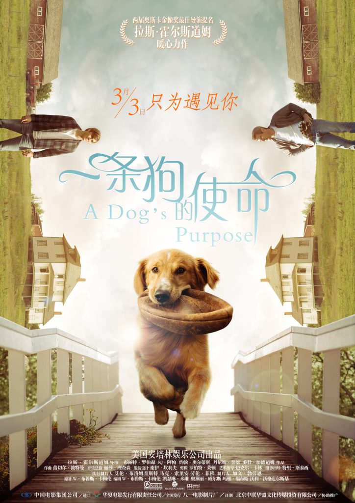 一条狗的使命 A Dog's Purpose (2017) 电影资源下载