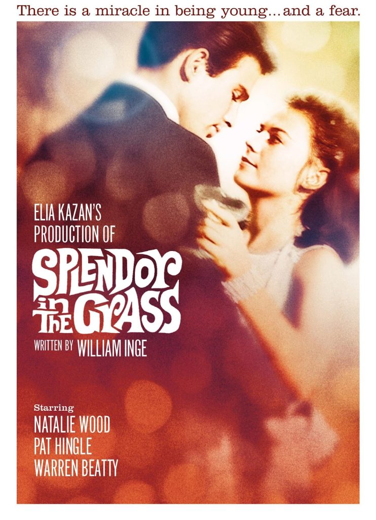 天涯何处觅知音 Splendor in the Grass (1961) 网盘资源下载