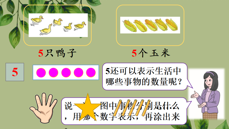 一年级上册数学资料《1~5的认识》PPT课件（2024年秋人教版）共30页