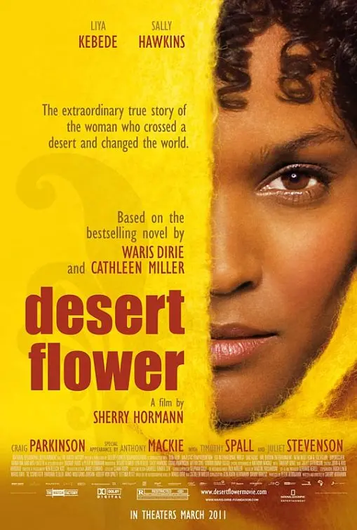 沙漠之花 Desert Flower (2009) 电影百度网盘资源高清下载