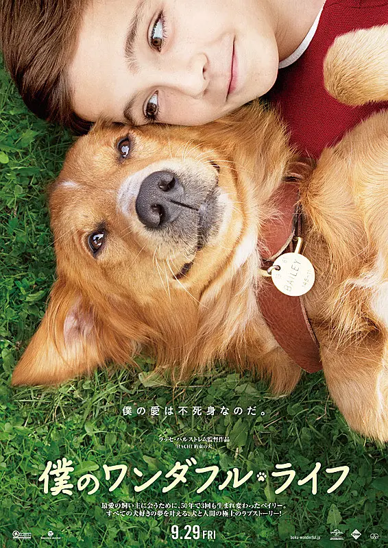 条狗的使命 A Dog's Purpose (2017) 电影百度网盘资源高清下载