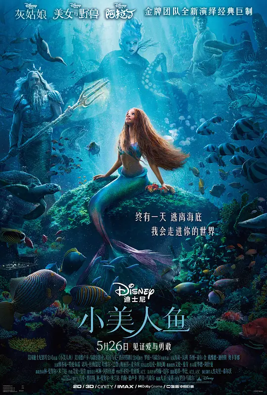 小美人鱼 The Little Mermaid (2023) 电影百度网盘资源高清下载