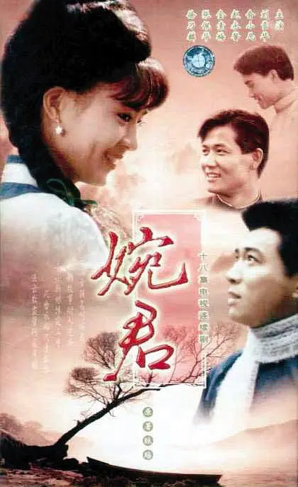 婉君 (1990) 全18集百度网盘资源下载