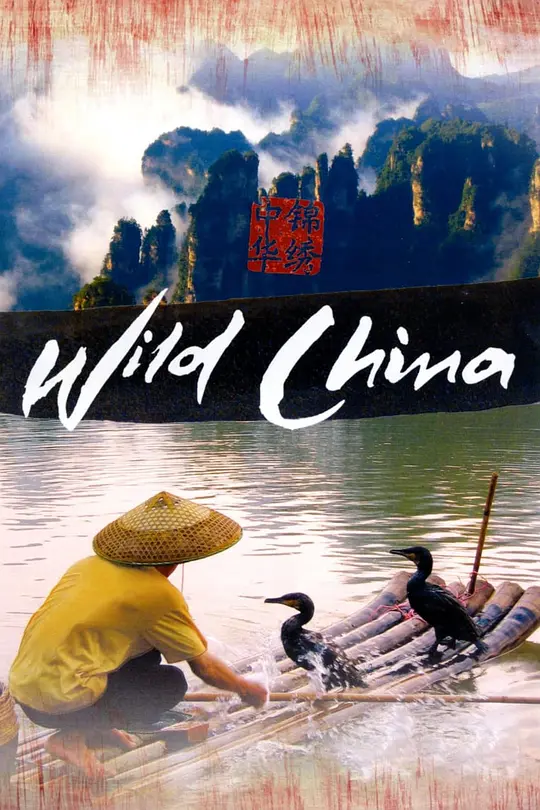 美丽中国 Wild China (2008) 全6集百度网盘资源下载