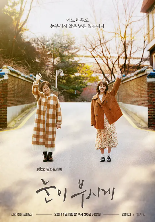 耀眼 눈이 부시게 (2019) 全12集百度网盘资源下载